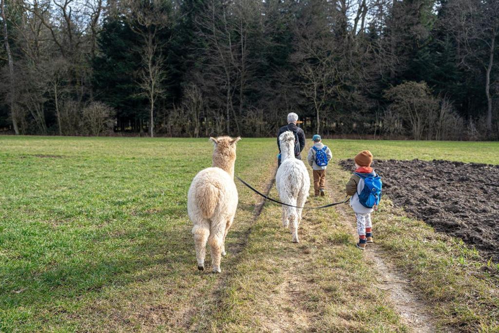 Gruppenunterkunft Mit Billardtisch Und Lamatrekking Meikirch 외부 사진
